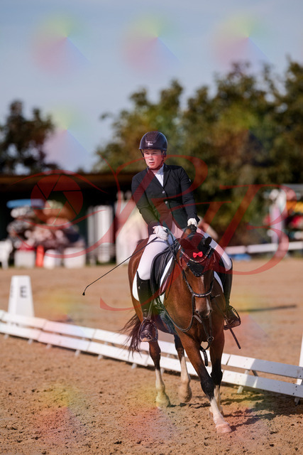 2026_10_03_Siefer-Hof_115754_Z81_99562098 | Professionelle Reitsport-, Turnier- und Eventfotografie von Robert Broda. Galerien mit ausgewählten und bearbeiteten Bildern direkt online ansehen und bestellen.