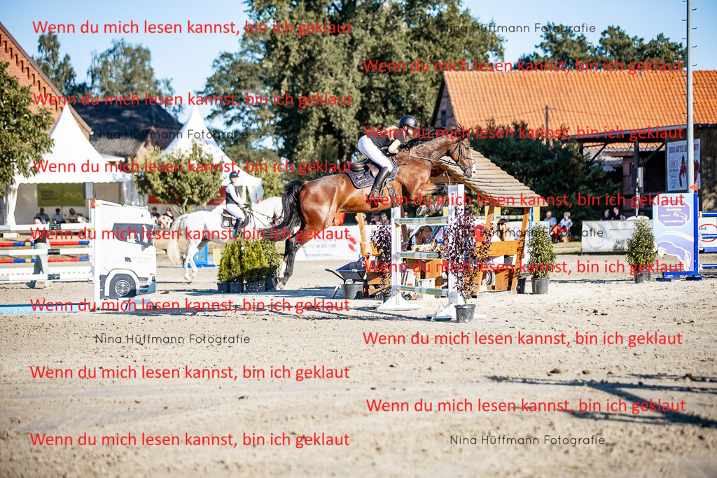 BK1A8334 | Turnierbilder Turnierfotos Nina Hüffmann Turnierfotografie Pferdefotografie Tierzeichnung Haustierzeichnung Pferdezeichnung Hundezeichnung Videograf  - Realisiert mit Pictrs.com