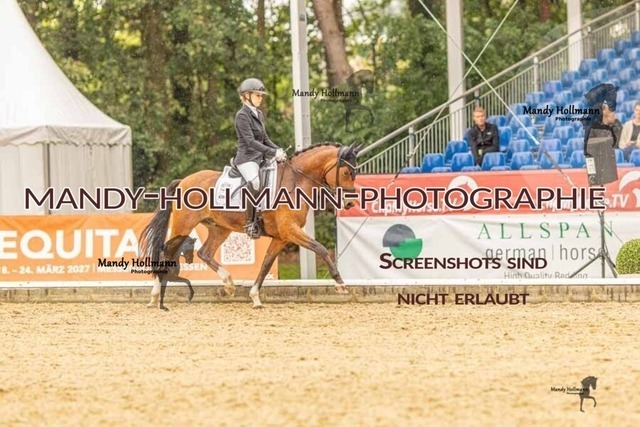 28-8-26 5j DRE-1189 | mandyhollmannphotographie