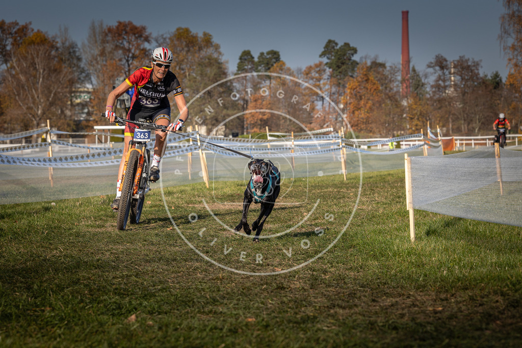 CaniXpix_0L8A6836 | Hundefotografie, Tierfotograf, Pfotenfotografie, Fotoshooting Hund, Hunde Portrait, Hundesport, Hundeportraits, Heideshooting, Hunde, Sportfotograf, Hundefotograf, Turnierhundsport, THS,  - Realisiert mit Pictrs.com