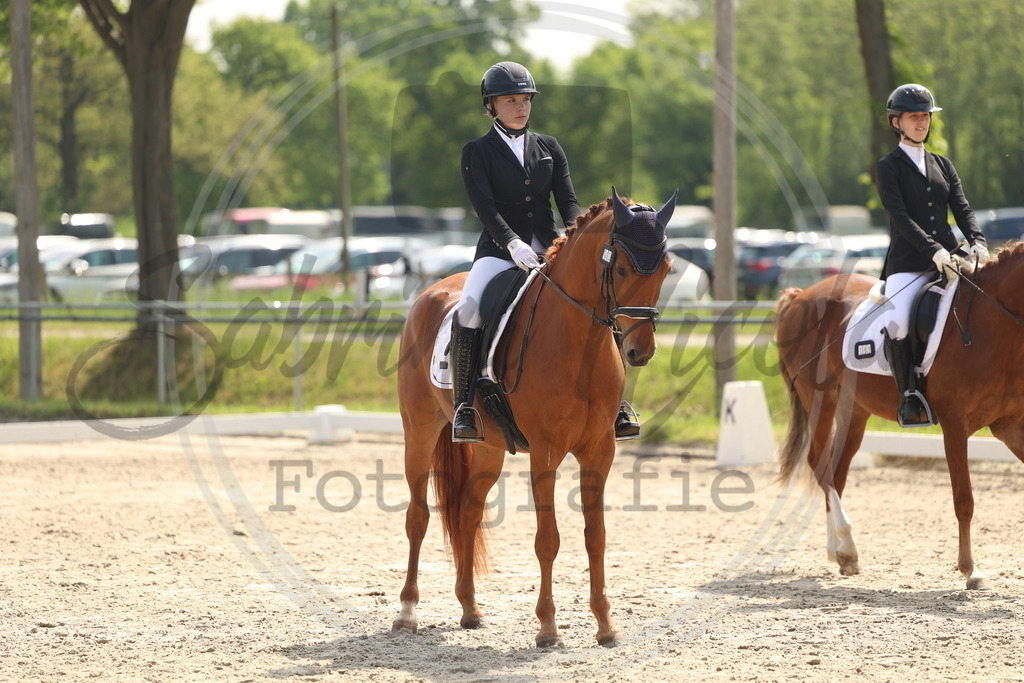 994A6720 | sabrinanicolaifotografie - Realisiert mit Pictrs.com