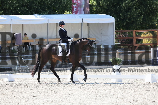 Weilheim_2025_Prfg.Nr.24_Reitpferdeprüfung_Ines Fleischmann_Tjara 17 (8) | Alle Fotos der Reiterjournal Fotografin Doris Matthaes im Reiterjournal Online-Fotoshop. - Realisiert mit Pictrs.com