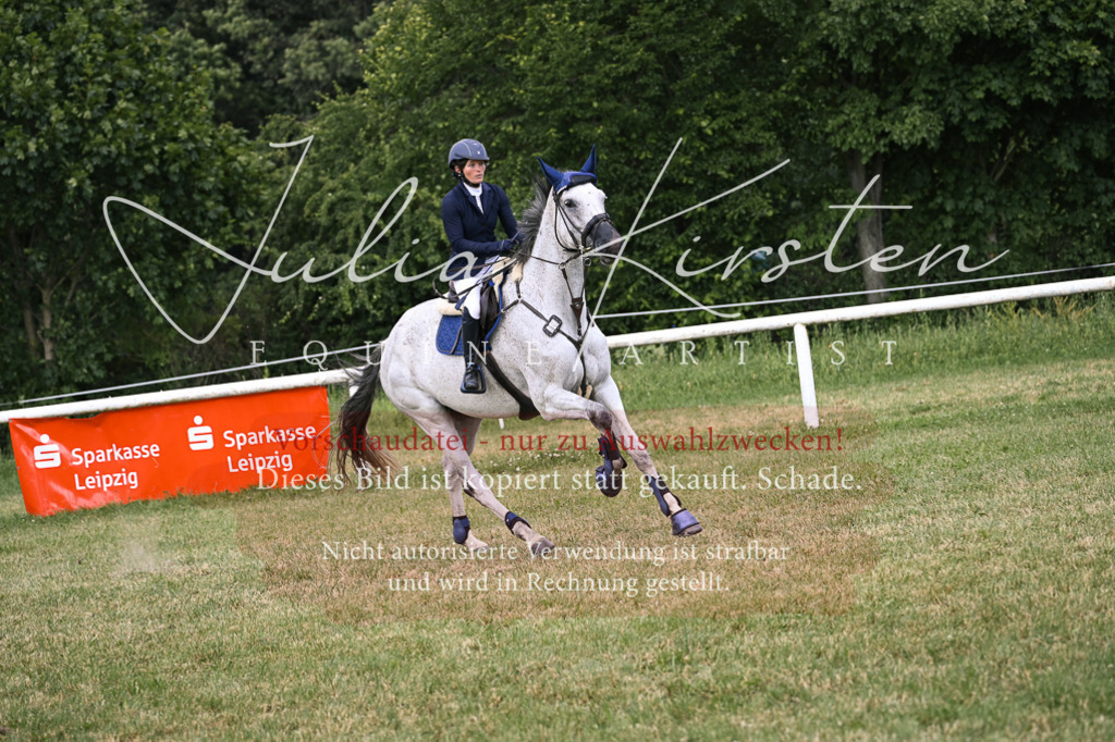 DSC_0939 | Pferde- und Turnierfotografie in Westsachsen. Pferdeportraits, Auftragszeichnungen und intuitive Kunst.
