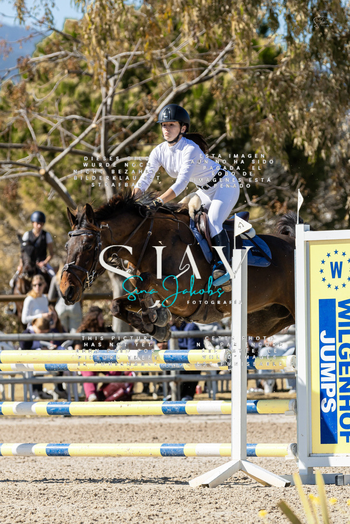 IMG_0601 | s-jay-photography - Realisiert mit Pictrs.com