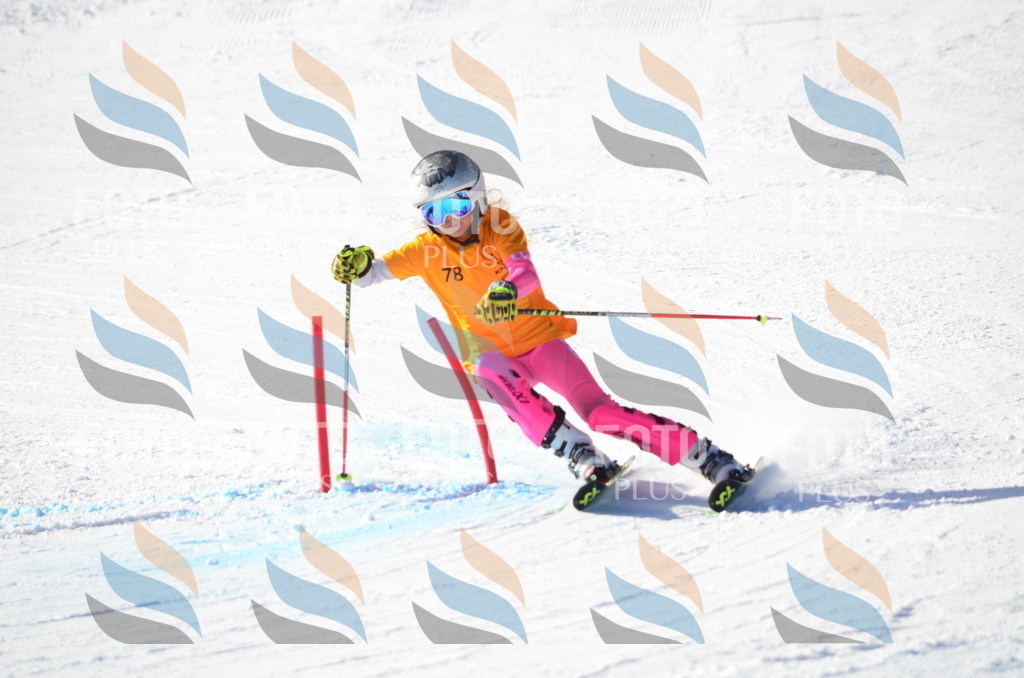 C5958 | holidayphoto