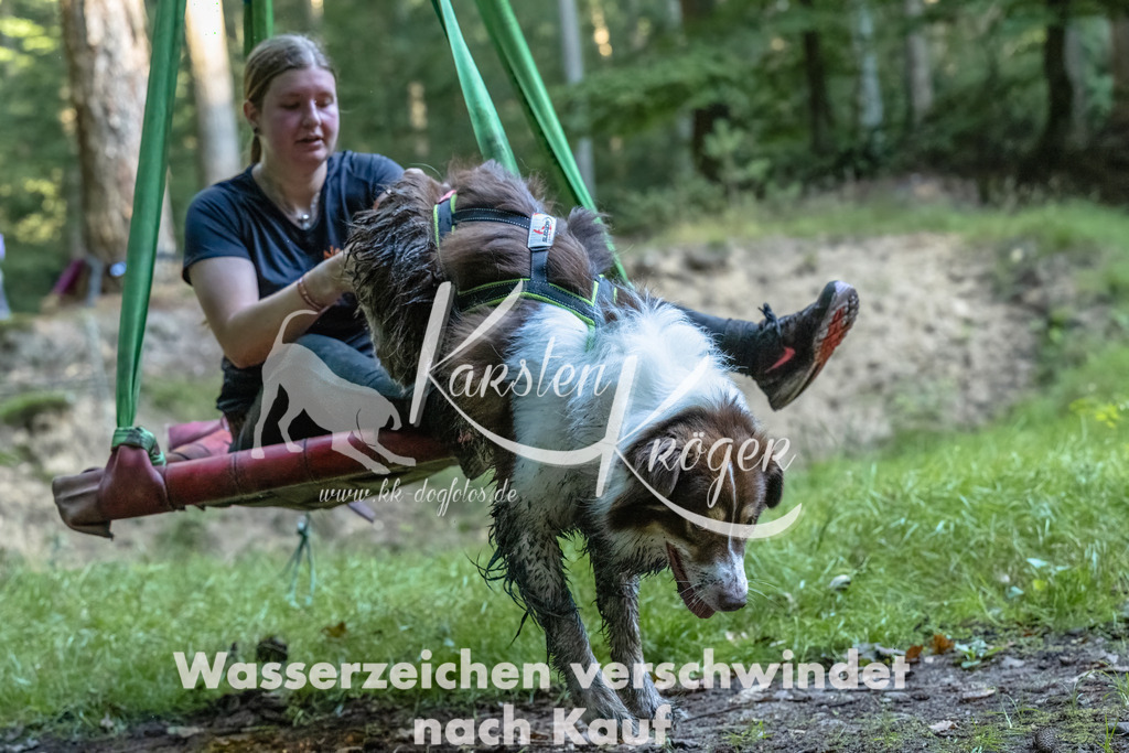 0914_ZZ90724-Bearbeitet | kk-dogfotos