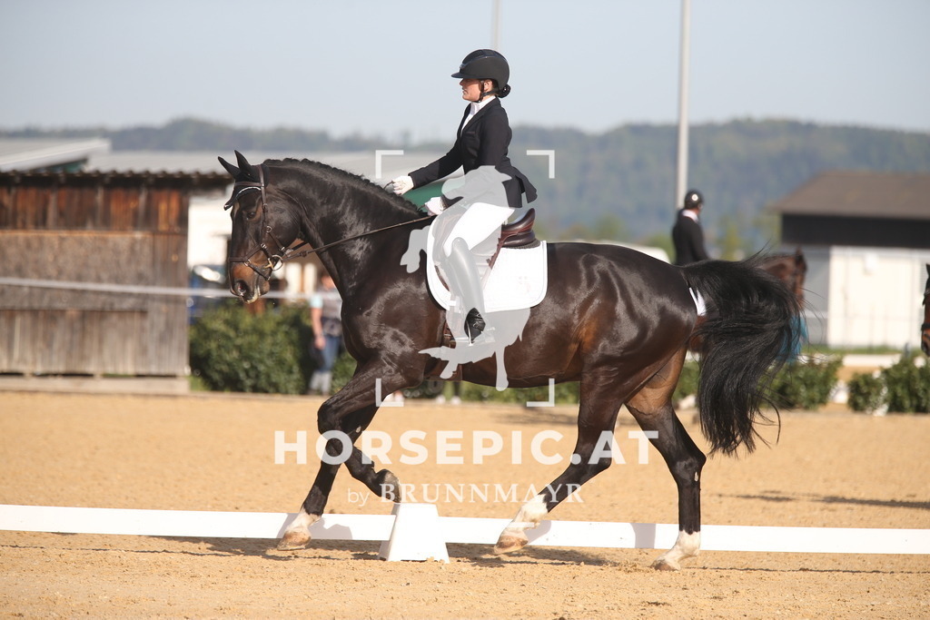 AS8V5342 | Willkommen bei Brunnmayr - Design & Fotografie – Ihrem Spezialisten für Reitturniere und Pferdeveranstaltungen in Oberösterreich, Salzburg und Bayern! Seit über 17 Jahren sind wir leidenschaftlich dabei.