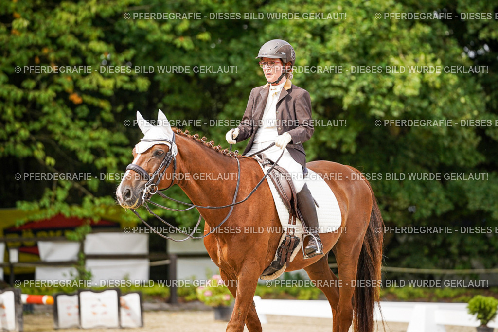 DSC06105 | Pferdegrafie