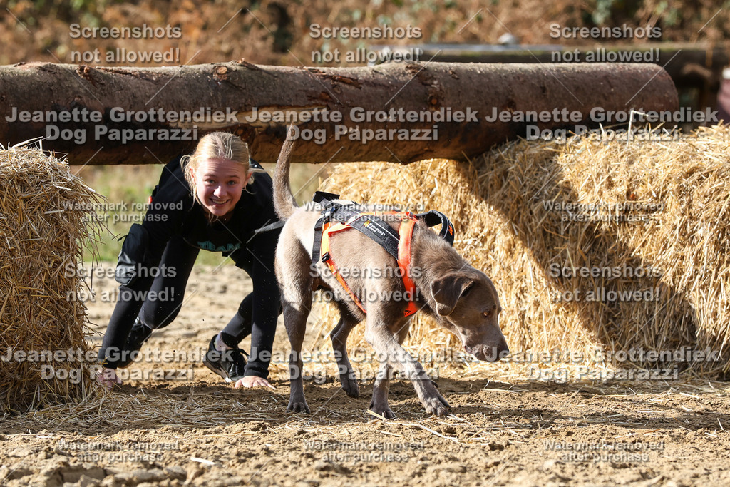 Dog Paparazzi - Strongdog 10-25-5145 | Dog Paparazzi Jeanette Grottendiek Fotografie & Videografie - Realisiert mit Pictrs.com