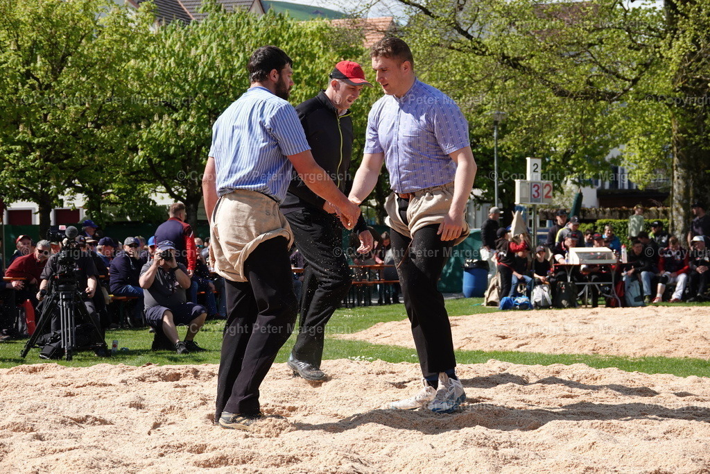 DSC00524 | Schwingen - Realisiert mit Pictrs.com