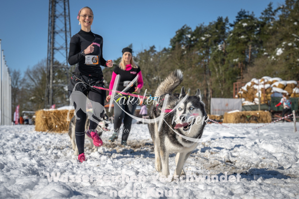 1127_ZZ92296-3 | kk-dogfotos