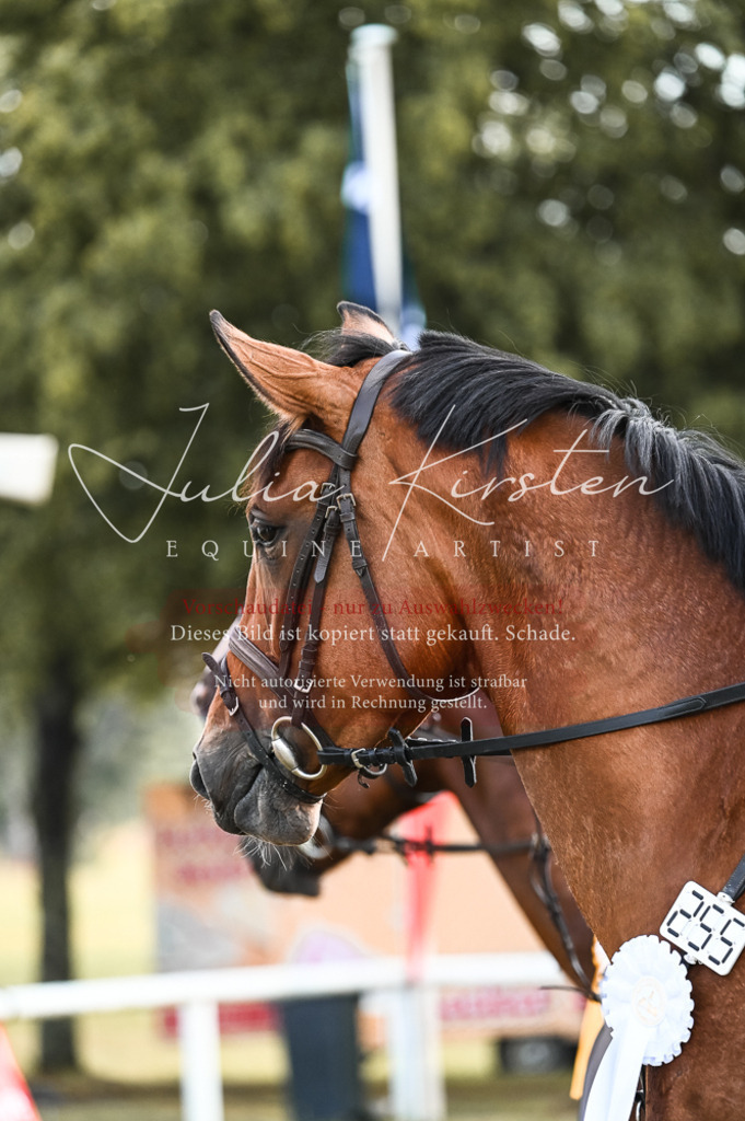 DSC_7656 | Pferde- und Turnierfotografie in Westsachsen. Pferdeportraits, Auftragszeichnungen und intuitive Kunst.
