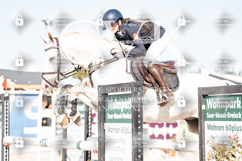 CK904775 | Turnierfotografie Pferdefotografie Trier Rheinland-Pfalz Pferdesport Reitsport Tierfotografie Sportfotografie Pferdevideo Pferdevideografie Equestrianvideography equestrianphotography  - Realisiert mit Pictrs.com