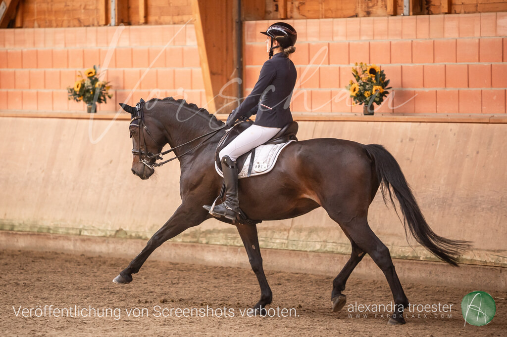 250914_Barop_14_066 | farbklaex.com