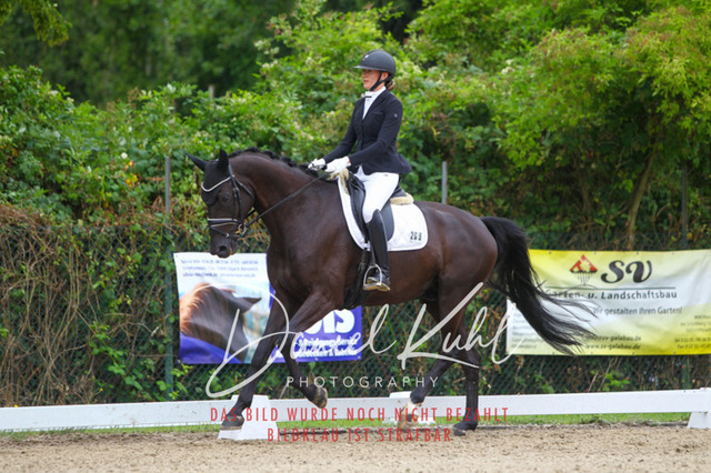 DKP40325 | Turniersportfotografie; Pferdefotografie; Dressurfotografie