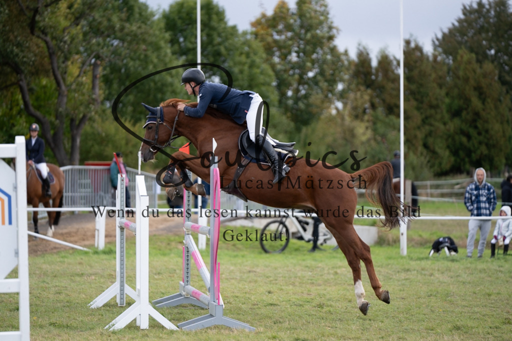 A7V07330 | Turnier/Reitfotograf