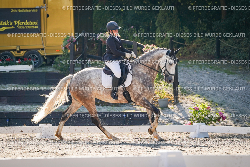 DSC08578 | Pferdegrafie