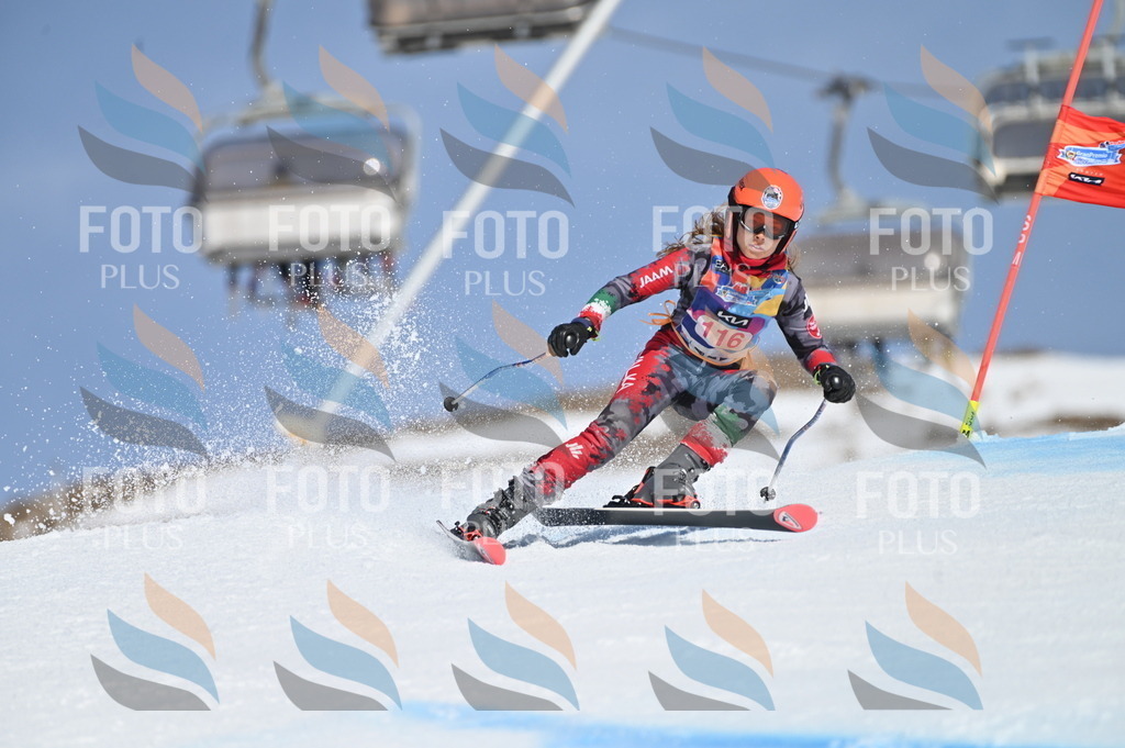 BGV_9732 | holidayphoto