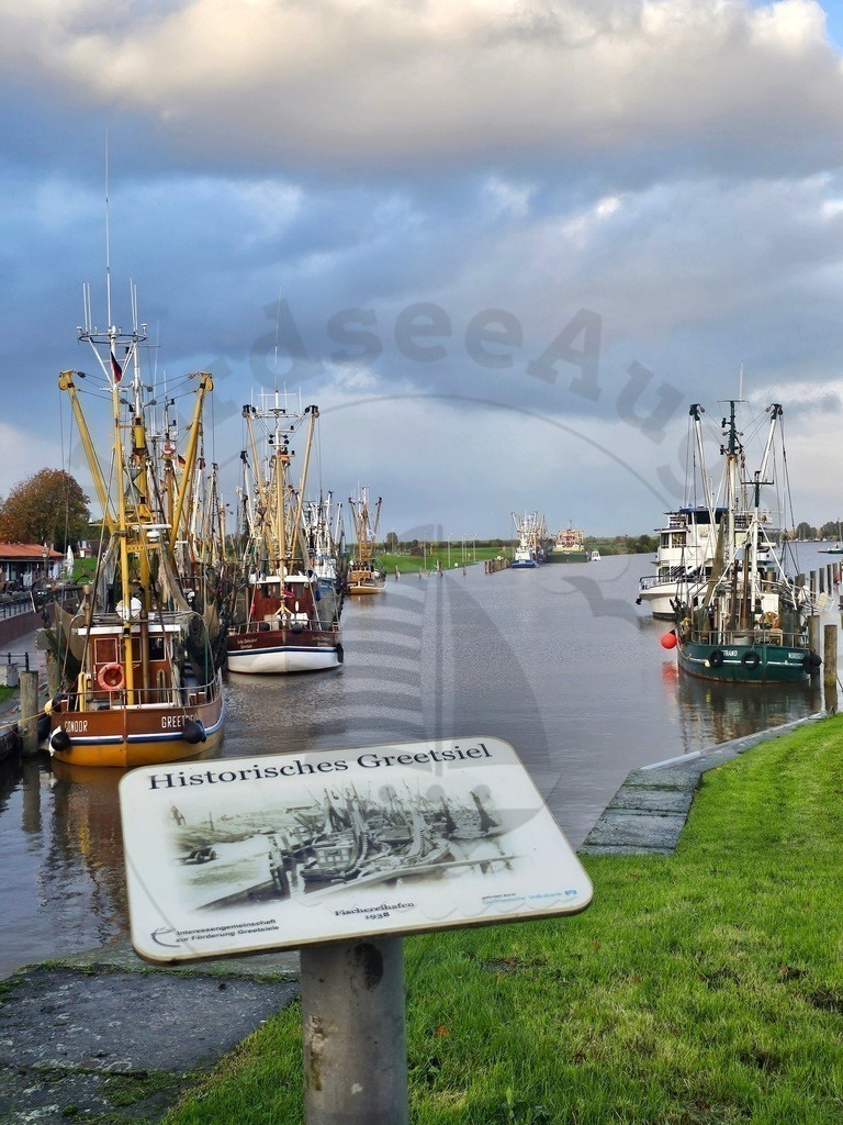 Nordsee Momente pur Nordseeküste Naturaufnahmen  | Nordsee in all ihrer Natürlichkeit  - Realisiert mit Pictrs.com