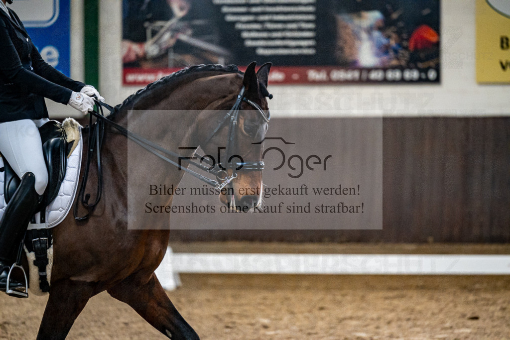 20240310-DOS_7529 | Entdecke hochwertige Reitturnierfotos von Foto Oger. Professionell, emotional und authentisch – jetzt Lieblingsmomente im Shop bestellen.Deutschlandweite Turnierfotografie. - Realisiert mit Pictrs.com