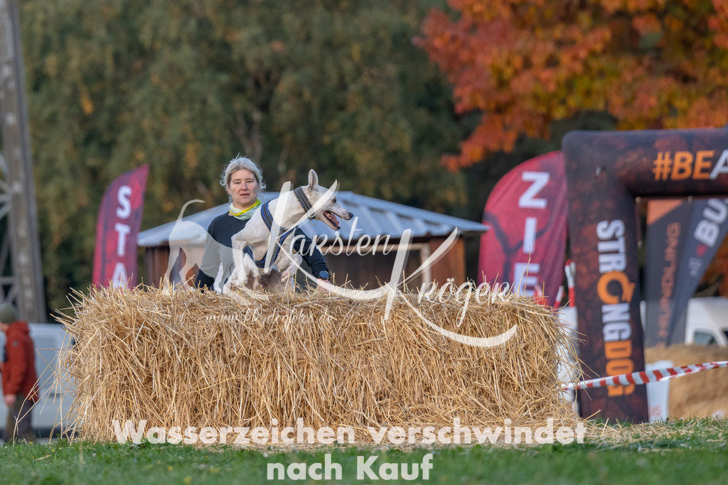 0847_ZZ91340-Bearbeitet | kk-dogfotos