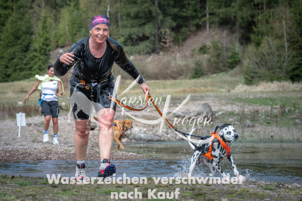 1100_ZZ92601 | kk-dogfotos