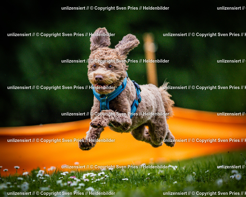 Sven Pries | 2025-05-29 - Pudelrennen KA-Durlach - Realisiert mit Pictrs.com