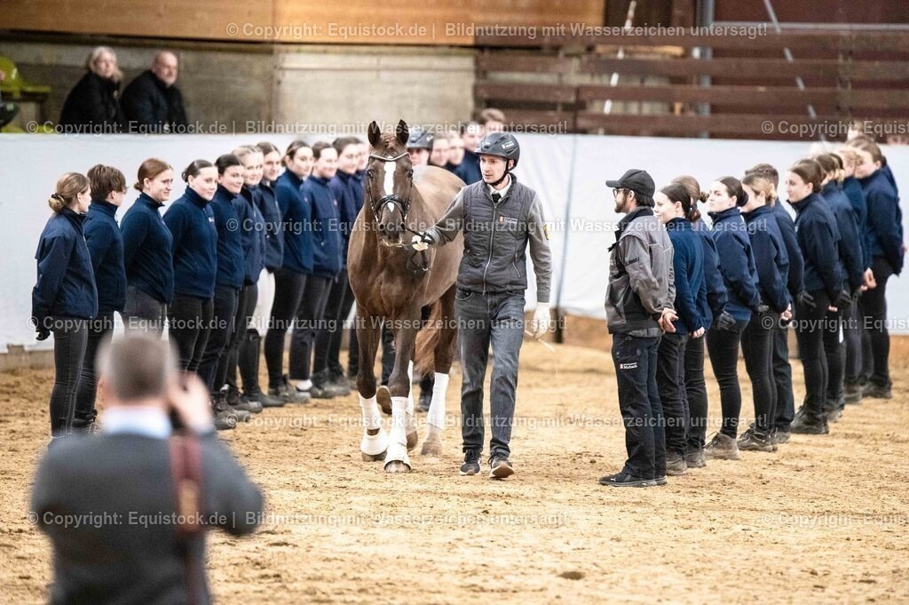 20260307_Hengstvorstellung-Marbach_0524 | equistock