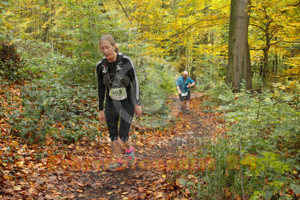 251026_1258_EV4_6254 | Sportfotografie im Rhein-Sieg Kreis, Köln, Bonn, NRW, Rheinland Pfalz, Hessen, etc. Unser Tätigkeitsfeld umfasst den Laufsport vom Volkslauf über den Marathon, Duathlon, Triathon bis zum Ultralauf wie Kölnpfad Ultra oder Schindertrail.