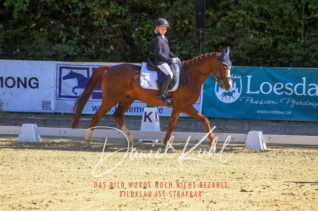 DKP41743 | Turniersportfotografie; Pferdefotografie; Dressurfotografie