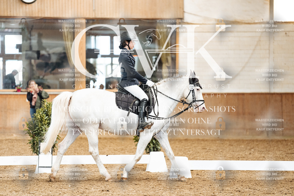 CK900456 | Turnierfotografie Pferdefotografie Trier Rheinland-Pfalz Pferdesport Reitsport Tierfotografie Sportfotografie Pferdevideo Pferdevideografie Equestrianvideography equestrianphotography  - Realized with Pictrs.com