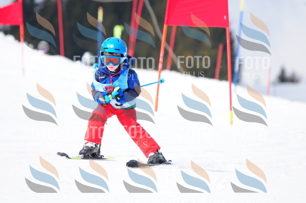 A3693 | holidayphoto