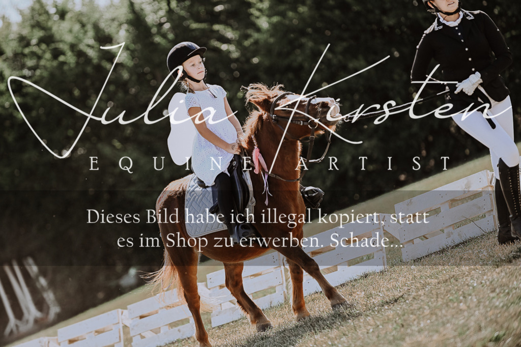 DSC_8917 | Pferde- und Turnierfotografie in Westsachsen. Pferdeportraits, Auftragszeichnungen und intuitive Kunst.