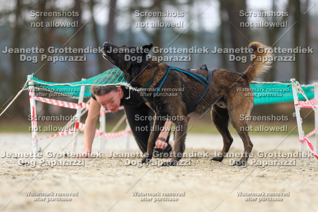 Dog Paparazzi - Strongdog North Mrz26-4264 | Dog Paparazzi Jeanette Grottendiek Fotografie & Videografie - Realisiert mit Pictrs.com