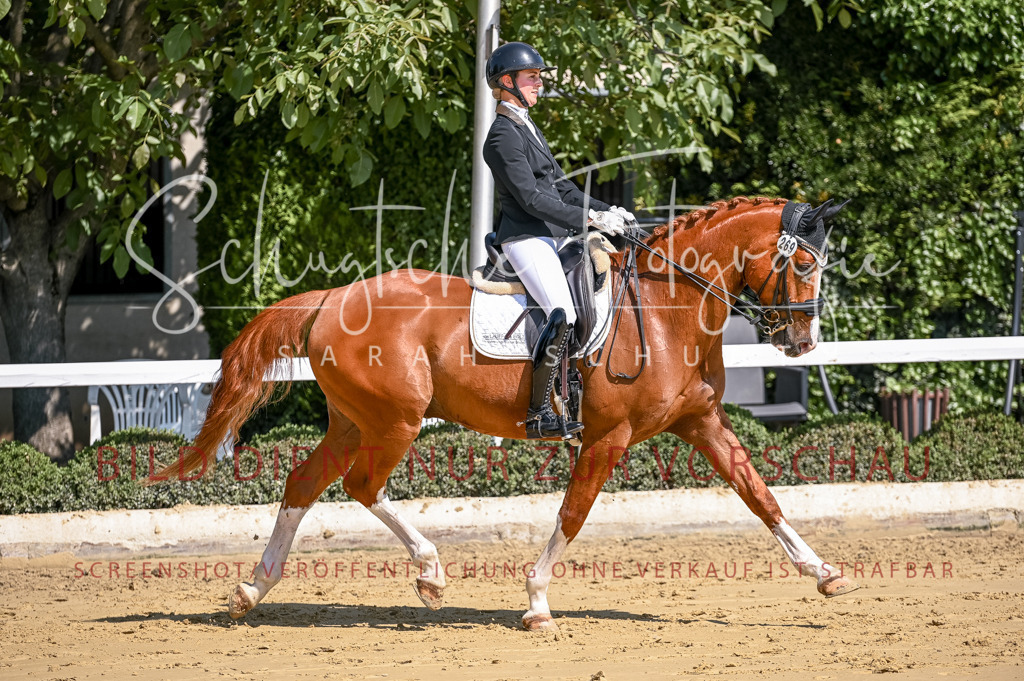 Schugtsche-Aluta25-52.Dressurprf.M2Kand-520 | Schugtsche Fotografie - Realisiert mit Pictrs.com