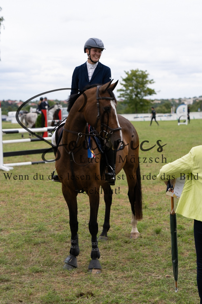 A7V06041 | Pferdefotograf