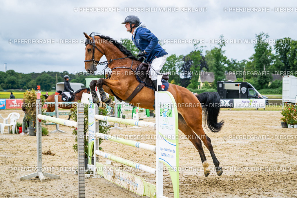 DSC04282 | Pferdegrafie