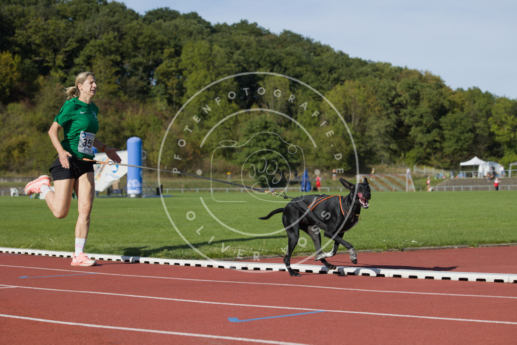 0L8A9560 | Hundefotografie, Tierfotograf, Pfotenfotografie, Fotoshooting Hund, Hunde Portrait, Hundesport, Hundeportraits, Heideshooting, Hunde, Sportfotograf, Hundefotograf, Turnierhundsport, THS,  - Realisiert mit Pictrs.com