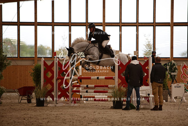 1J2A3378Christoph Maack_ Cello Blue_ Kn104_ Hohen Wieschendorf_ Glantz | Foto- und Videografie für alles rund ums Pferd. Hochwertige Bilder und Videos vom Spring- und Dressurreiten, Voltigieren & mehr. Jetzt aktuelle Veranstaltungen und Preise im Shop ansehen. - Realisiert mit Pictrs.com