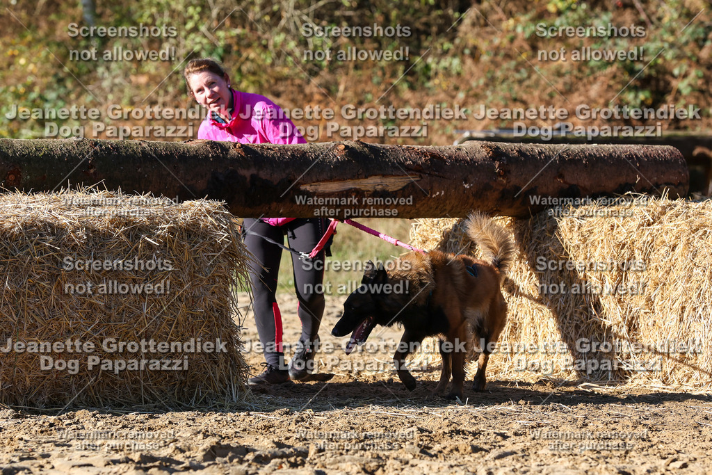 Dog Paparazzi - Strongdog 10-25-1988 | Dog Paparazzi Jeanette Grottendiek Fotografie & Videografie - Realisiert mit Pictrs.com
