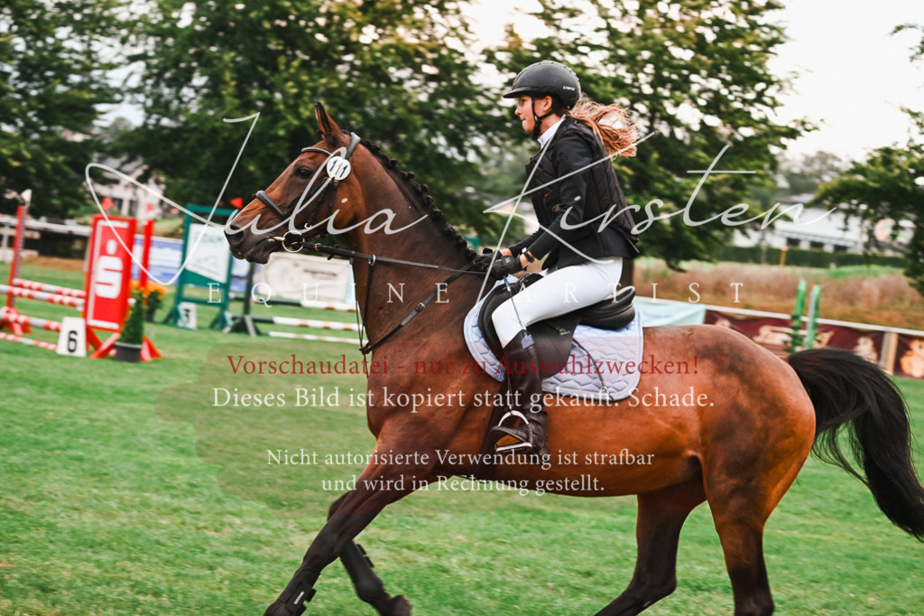 DSC_5873 | Pferde- und Turnierfotografie in Westsachsen. Pferdeportraits, Auftragszeichnungen und intuitive Kunst.