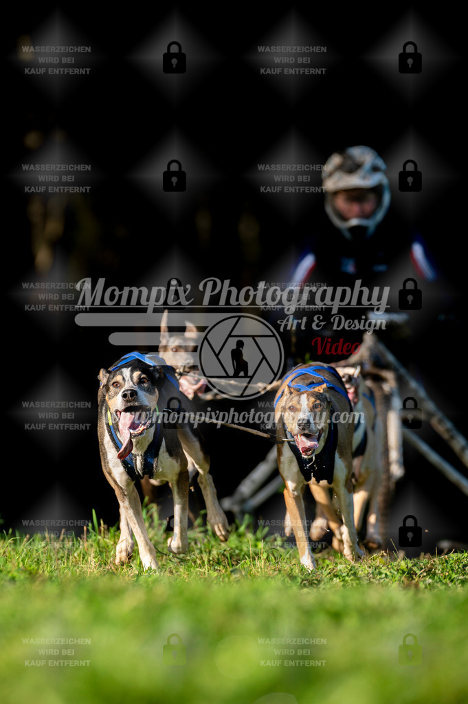 TSB_2023_E7_Kart-3 | PayLife