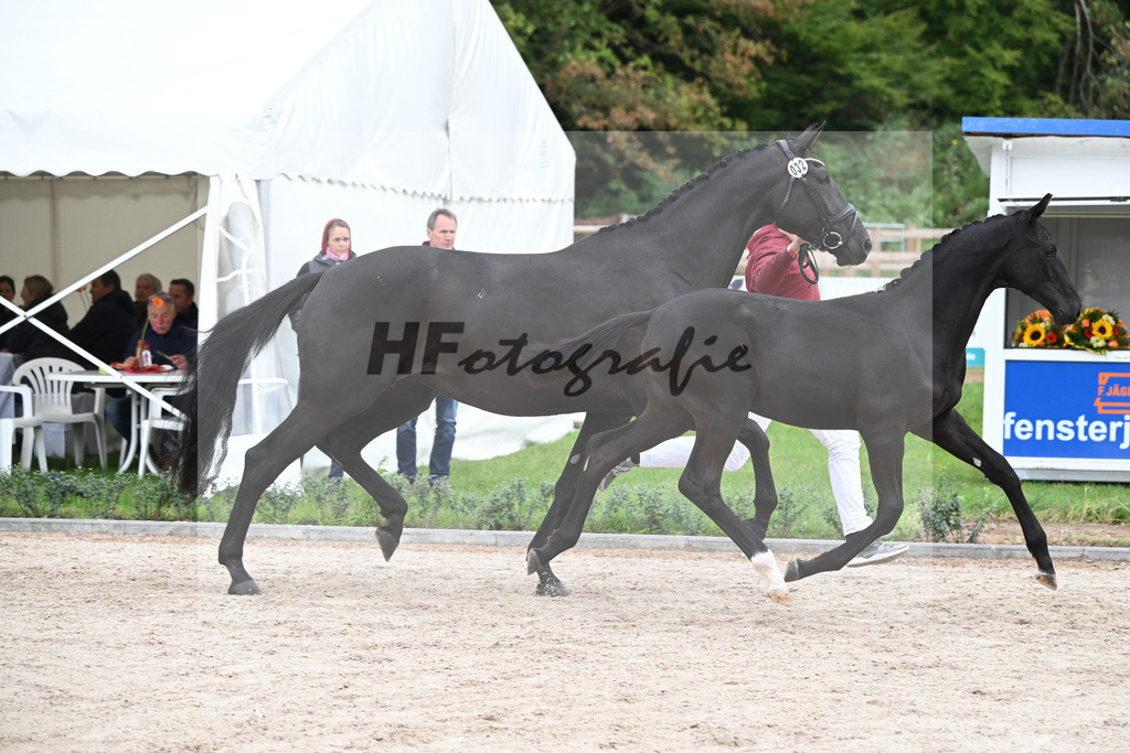 Kat-Nr. 32 Zaphira ABS_Bauer_49221054 | hf-fotografie - Realizzato con Pictrs.com