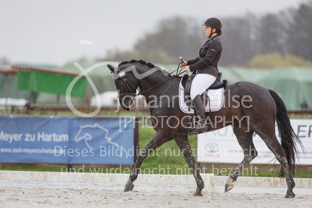 240401_Fruehlingsfest_A1-Dressur-408 | Deine schönsten Turniermomente als professionelle Fotos! Entdecke hochwertige Pferdesport-Fotografie im Online-Shop. Jetzt Fotos finden & bestellen!