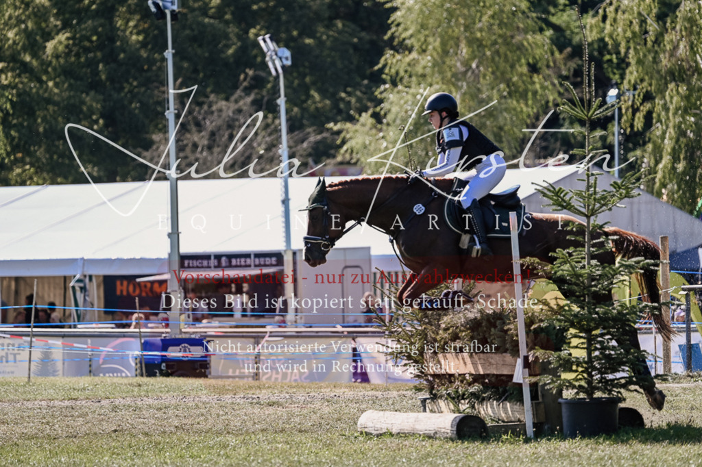 DSC_3176 | Pferde- und Turnierfotografie in Westsachsen. Pferdeportraits, Auftragszeichnungen und intuitive Kunst.