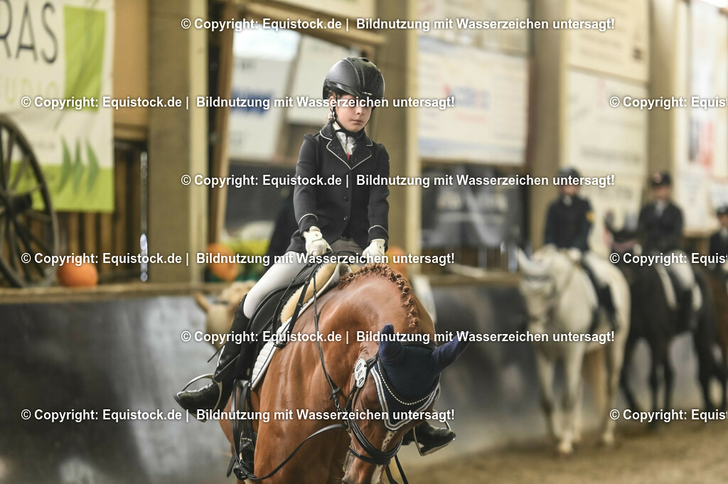 20231029_02_Reiter-WB_Schritt-Trab_Abteilung-01_0056 | Foto: Thomas Hartig