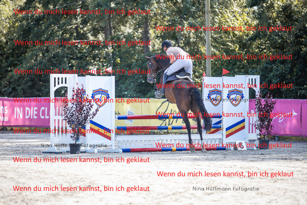 BK1A6994 | Turnierbilder Turnierfotos Nina Hüffmann Turnierfotografie Pferdefotografie Tierzeichnung Haustierzeichnung Pferdezeichnung Hundezeichnung Videograf  - Realisiert mit Pictrs.com