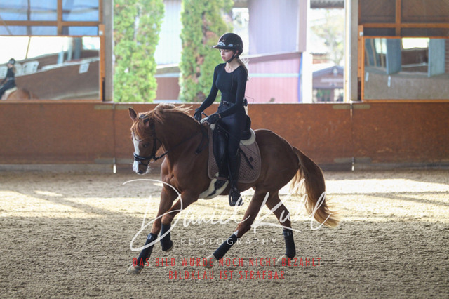 DKP42602 | Turniersportfotografie; Pferdefotografie; Dressurfotografie