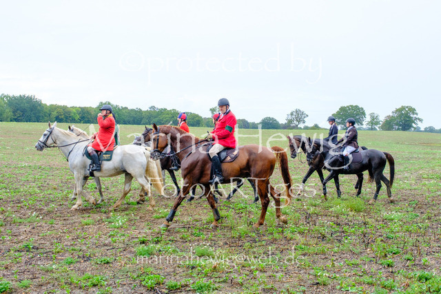 Jagd Perdoel 26 Fuji-9782_MarinaHewig | Fotografie, FotoArt, PferdesportArt, Pferdesportfotografie, Landschaftsfotografie, Reisefotografie, Reise, Pferde - Realisiert mit Pictrs.com
