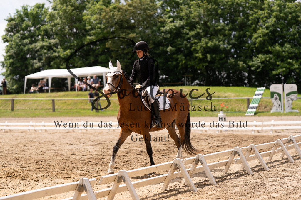 A7505993 | Turnier/Reitfotograf